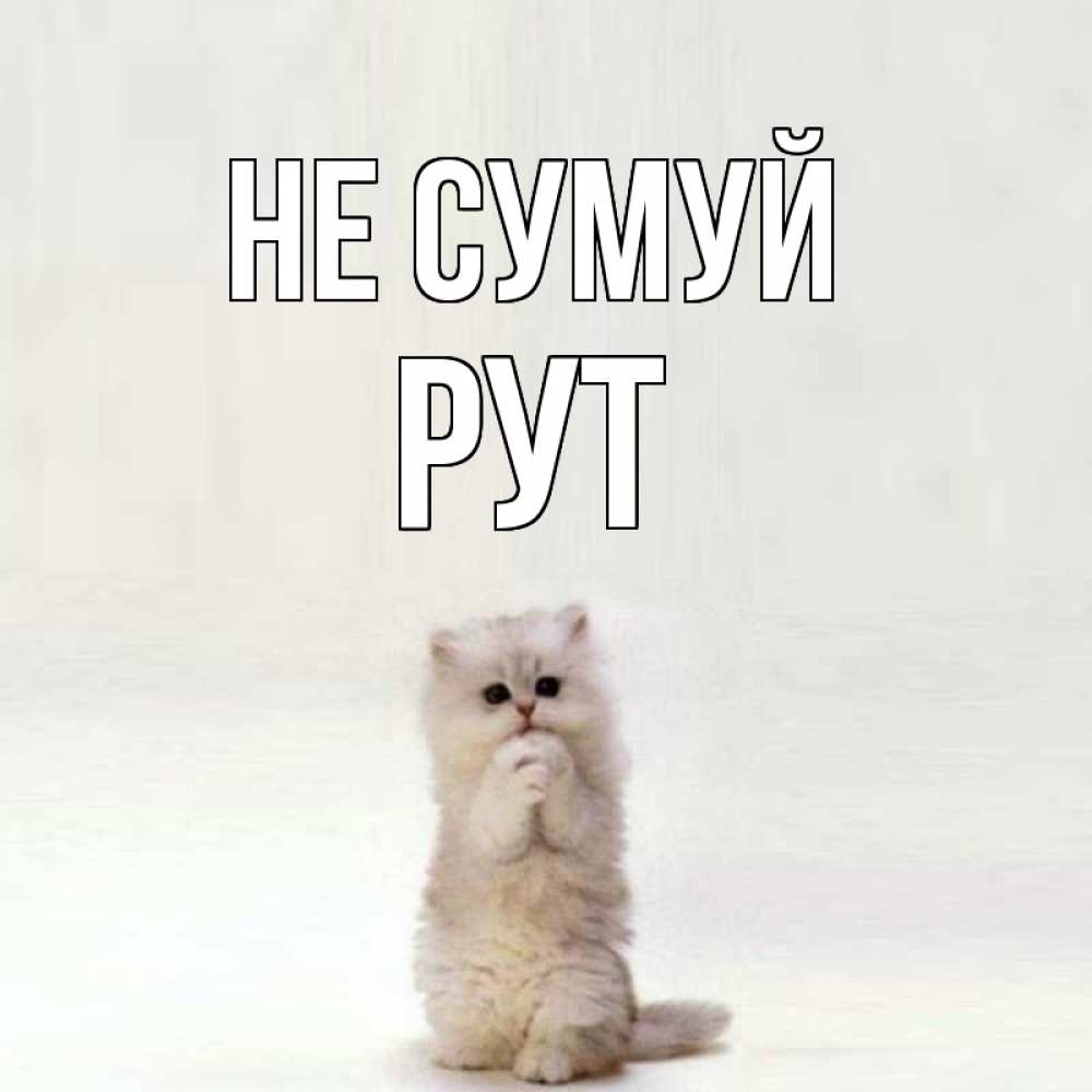 Открытка на каждый день з підписом, Рут Не сумуй грустный кот Прикольна листівка з побажанням онлайн скачати безкоштовно 
