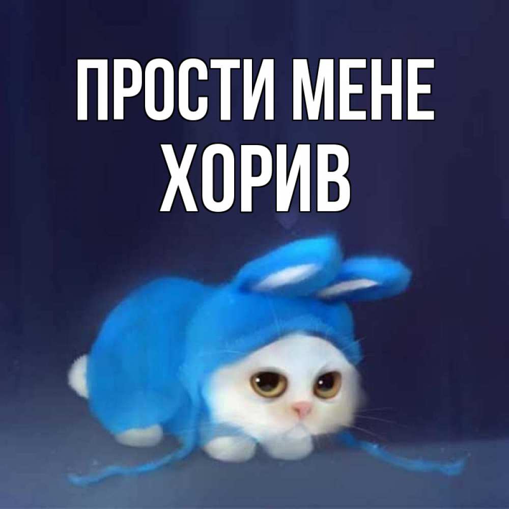 Открытка на каждый день з підписом, Хорив Прости мене невинный котозай просит прощения Прикольна листівка з побажанням онлайн скачати безкоштовно 