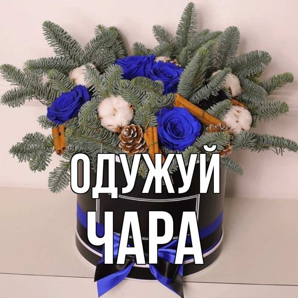 Открытка на каждый день з підписом, Чара Одужуй короче кто то загрузил эти шишки Прикольна листівка з побажанням онлайн скачати безкоштовно 