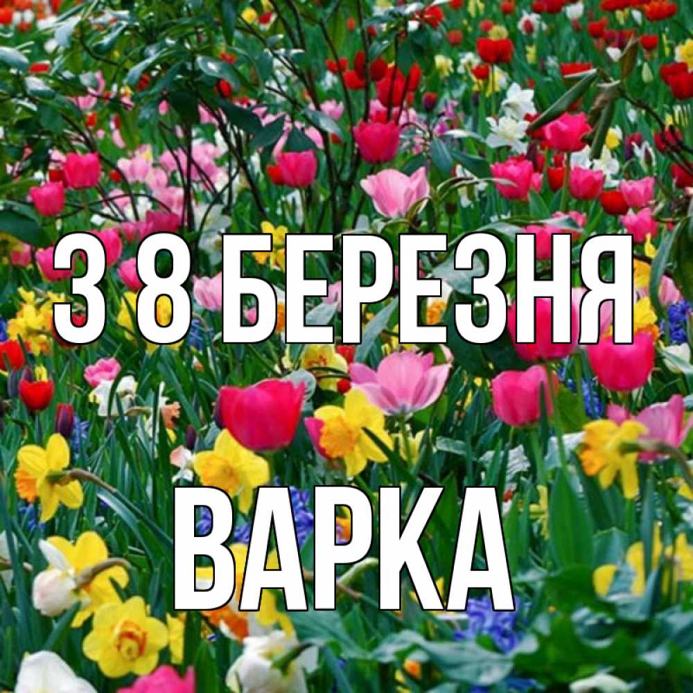 Открытка на каждый день з підписом, Варка З 8 БЕРЕЗНЯ с международным женским днем поздравления для женщины Прикольна листівка з побажанням онлайн скачати безкоштовно 