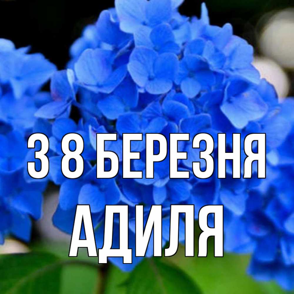 Открытка на каждый день з підписом, Адиля З 8 БЕРЕЗНЯ синие цветы Прикольна листівка з побажанням онлайн скачати безкоштовно 