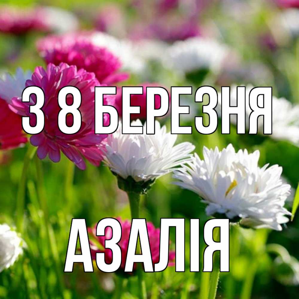 Открытка на каждый день з підписом, Азалія З 8 БЕРЕЗНЯ международный женский день 1 Прикольна листівка з побажанням онлайн скачати безкоштовно 