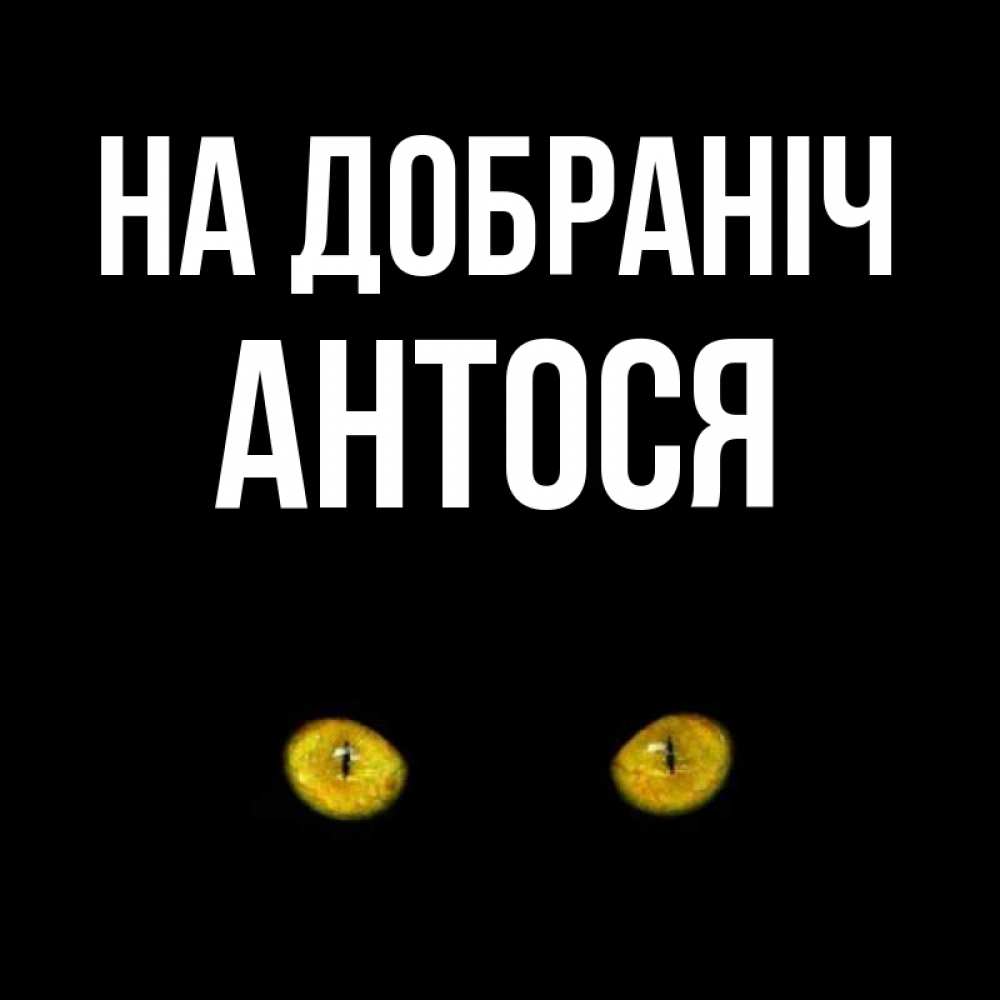 Открытка на каждый день з підписом, Антося На добраніч сладких снов бесстрашный мой дружочек Прикольна листівка з побажанням онлайн скачати безкоштовно 