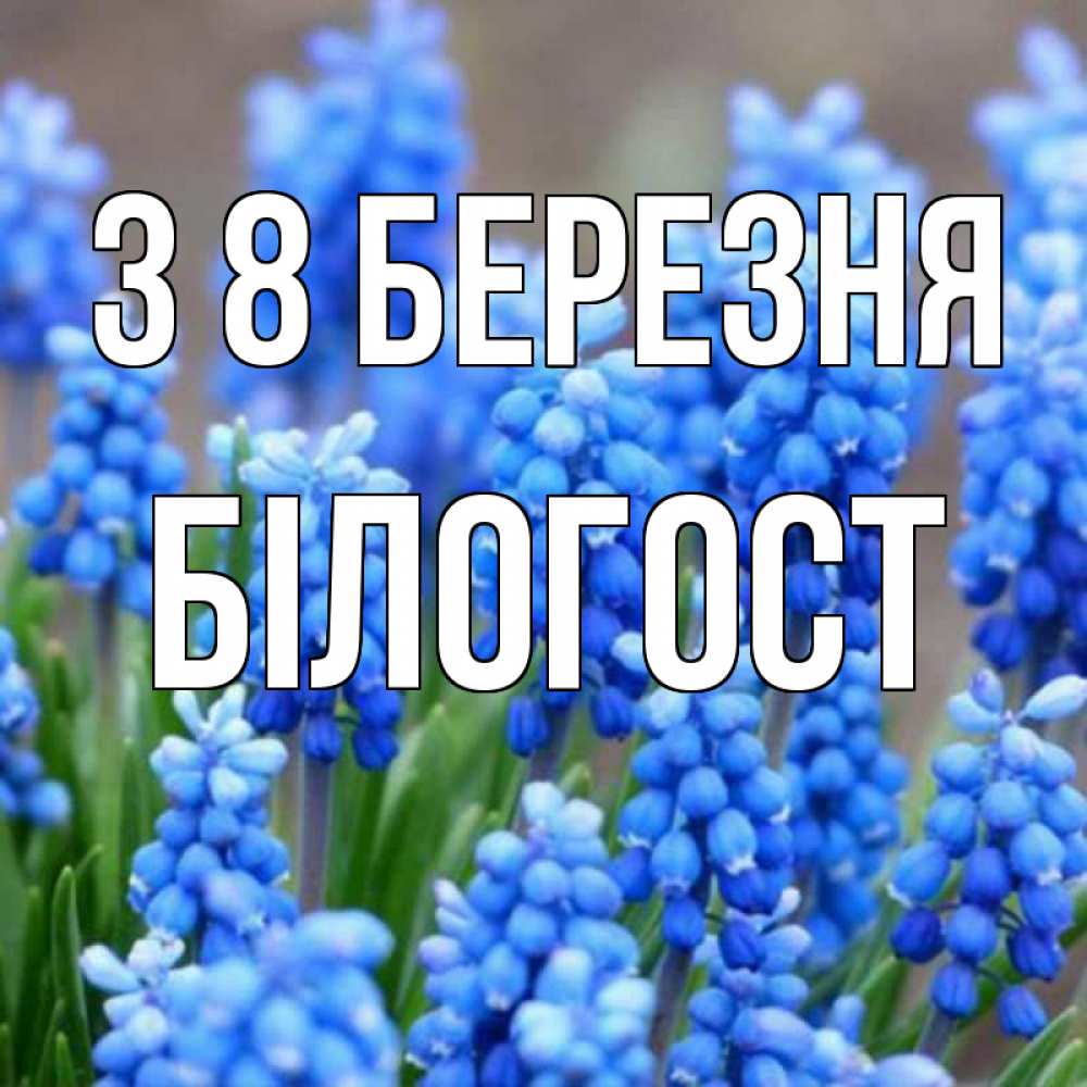 Открытка на каждый день з підписом, Білогост З 8 БЕРЕЗНЯ Поздравительная открытка для женщин с цветами на праздничную дату Прикольна листівка з побажанням онлайн скачати безкоштовно 