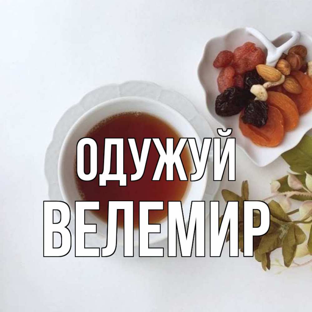Открытка на каждый день з підписом, Велемир Одужуй неизвестные растения Прикольна листівка з побажанням онлайн скачати безкоштовно 