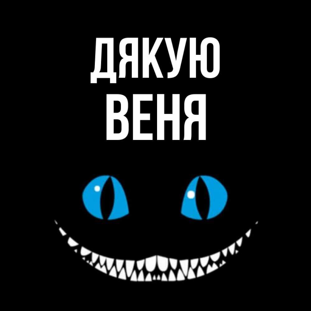 Открытка на каждый день з підписом, Веня Дякую благодарю от чеширика Прикольна листівка з побажанням онлайн скачати безкоштовно 