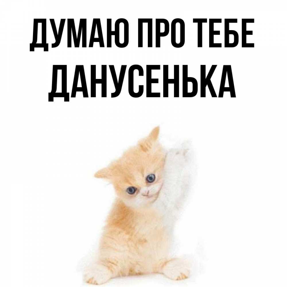 Открытка на каждый день з підписом, Данусенька Думаю про тебе зверушки и милота Прикольна листівка з побажанням онлайн скачати безкоштовно 