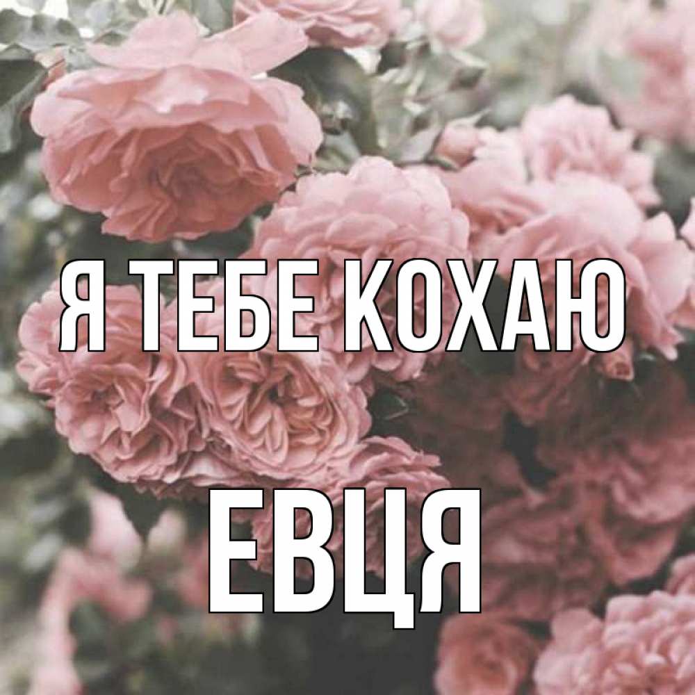 Открытка на каждый день з підписом, Евця Я тебе кохаю розы 3 Прикольна листівка з побажанням онлайн скачати безкоштовно 