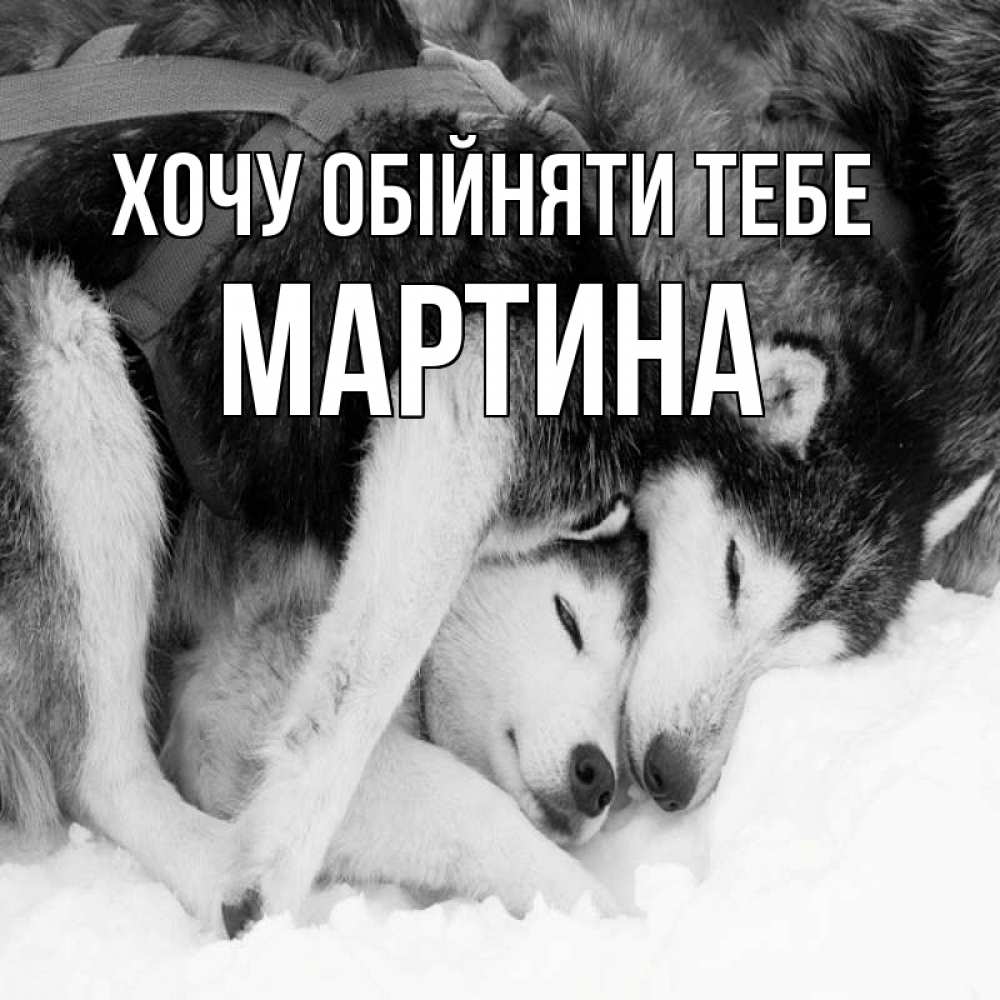 Открытка на каждый день з підписом, Мартина Хочу обійняти тебе собачки в упряжке Прикольна листівка з побажанням онлайн скачати безкоштовно 