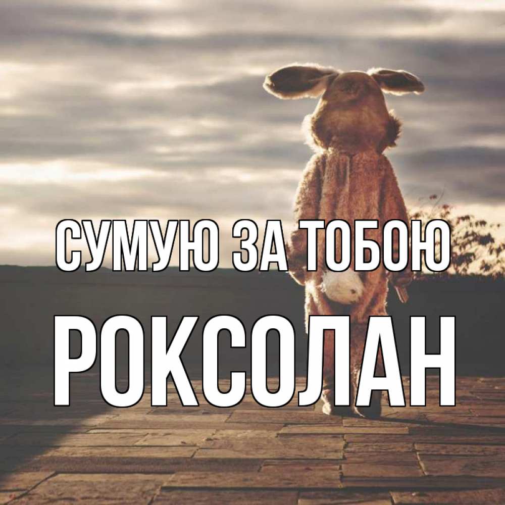 Открытка на каждый день з підписом, Роксолан Сумую за тобою даже в костюме зайца Прикольна листівка з побажанням онлайн скачати безкоштовно 