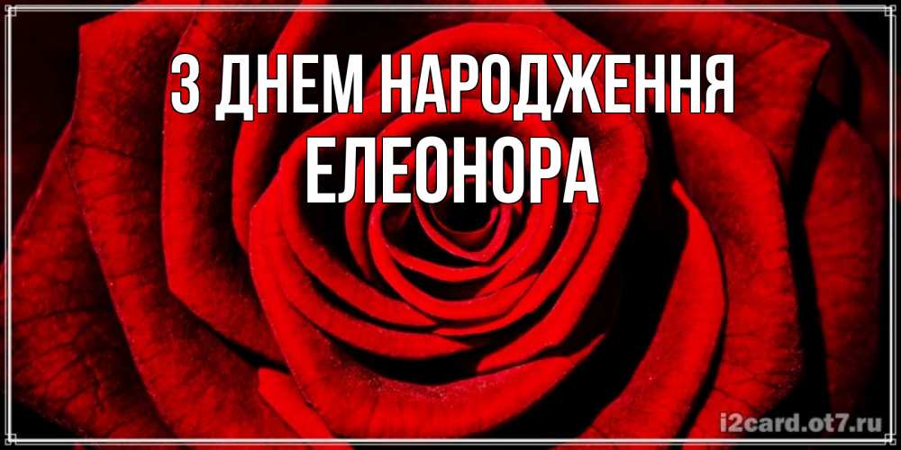 Открытка на каждый день з підписом, Елеонора З Днем народження алая роза Прикольна листівка з побажанням онлайн скачати безкоштовно 