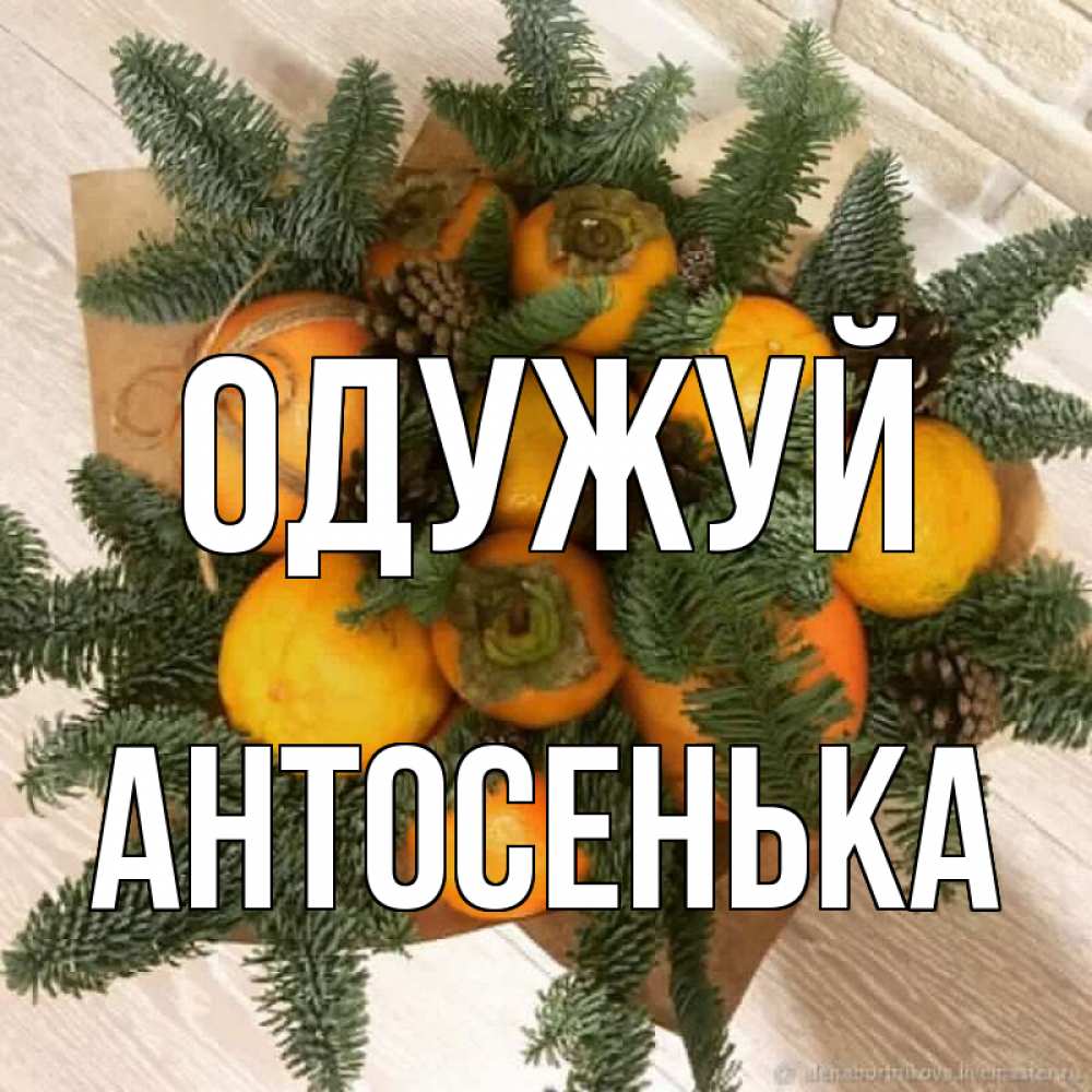 Открытка на каждый день з підписом, Антосенька Одужуй апельсины и хурьма Прикольна листівка з побажанням онлайн скачати безкоштовно 
