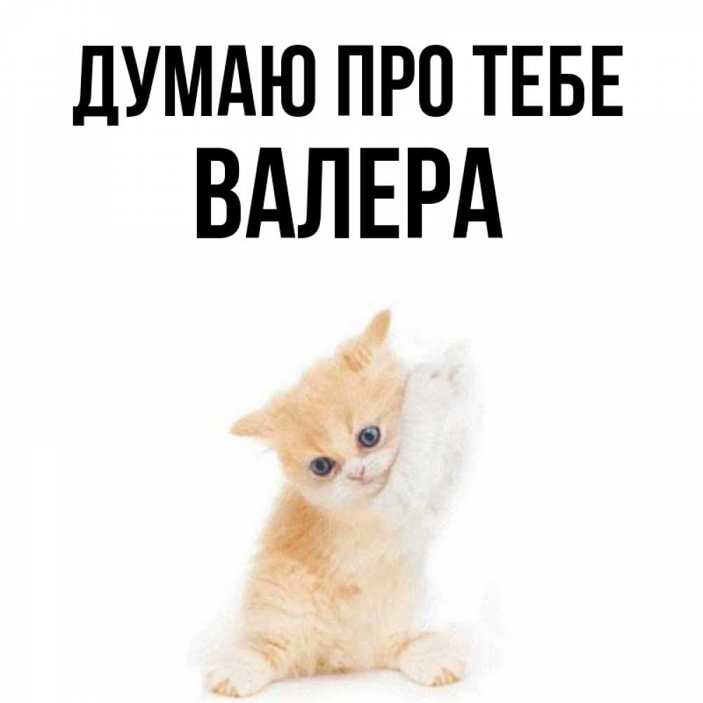 Открытка на каждый день з підписом, Валера Думаю про тебе зверушки и милота Прикольна листівка з побажанням онлайн скачати безкоштовно 