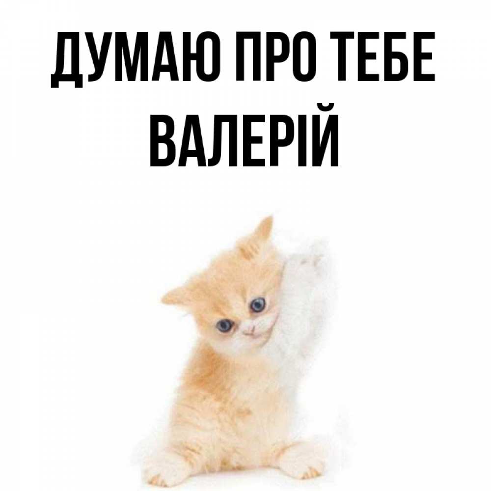 Открытка на каждый день з підписом, Валерій Думаю про тебе зверушки и милота Прикольна листівка з побажанням онлайн скачати безкоштовно 