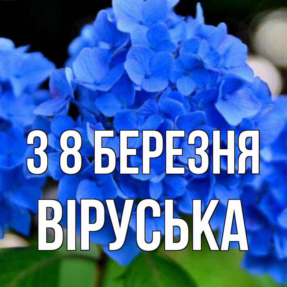 Открытка на каждый день з підписом, Віруська З 8 БЕРЕЗНЯ синие цветы Прикольна листівка з побажанням онлайн скачати безкоштовно 