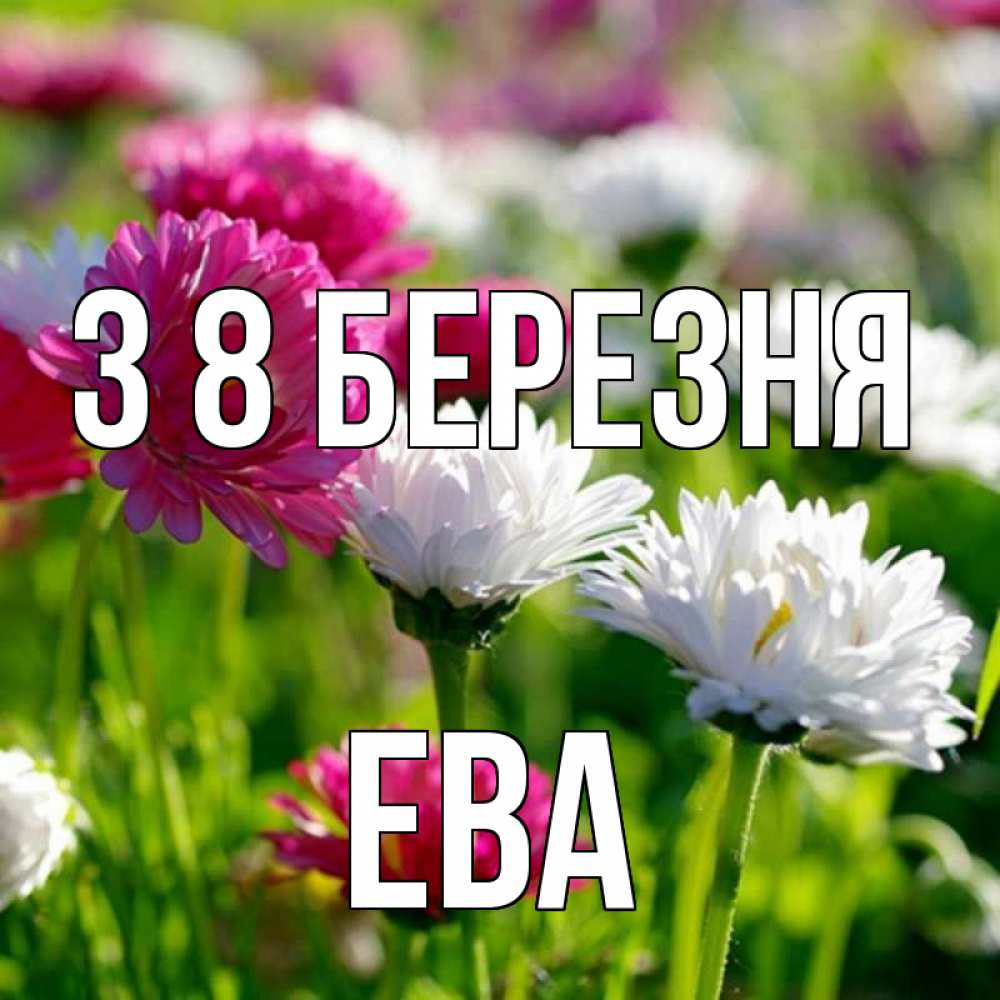 Открытка на каждый день з підписом, Ева З 8 БЕРЕЗНЯ международный женский день 1 Прикольна листівка з побажанням онлайн скачати безкоштовно 