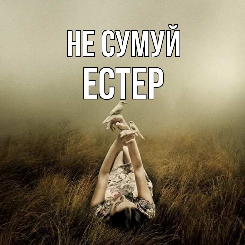 Открытка на каждый день з підписом, Естер Не сумуй поле и туман Прикольна листівка з побажанням онлайн скачати безкоштовно 