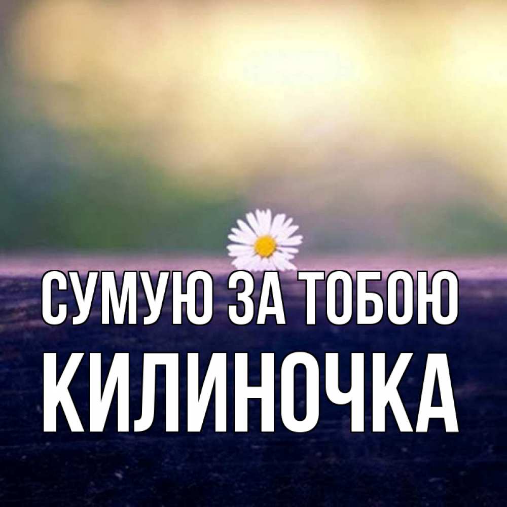 Открытка на каждый день з підписом, Килиночка Сумую за тобою приходи в гости Прикольна листівка з побажанням онлайн скачати безкоштовно 