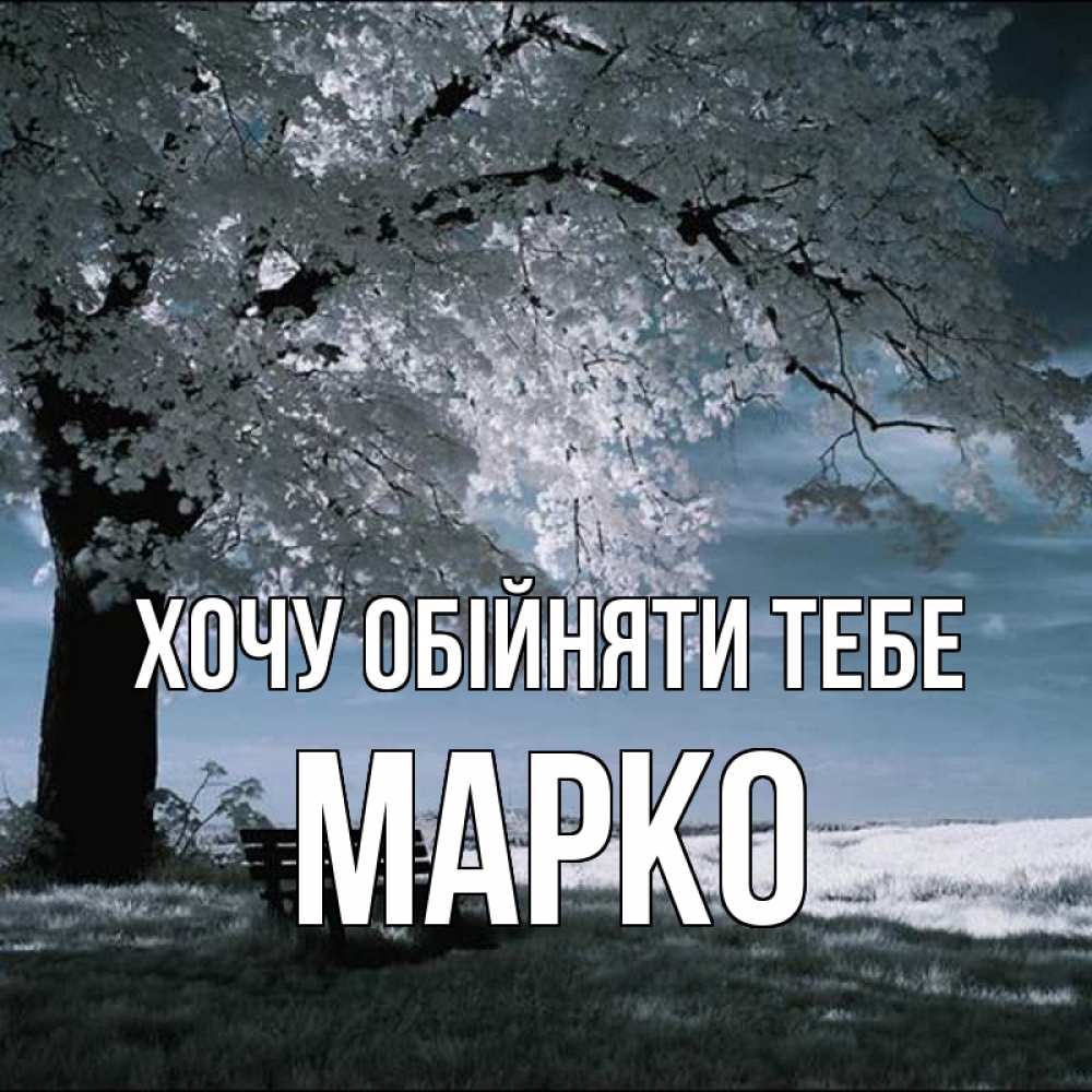 Открытка на каждый день з підписом, Марко Хочу обійняти тебе дерево Прикольна листівка з побажанням онлайн скачати безкоштовно 