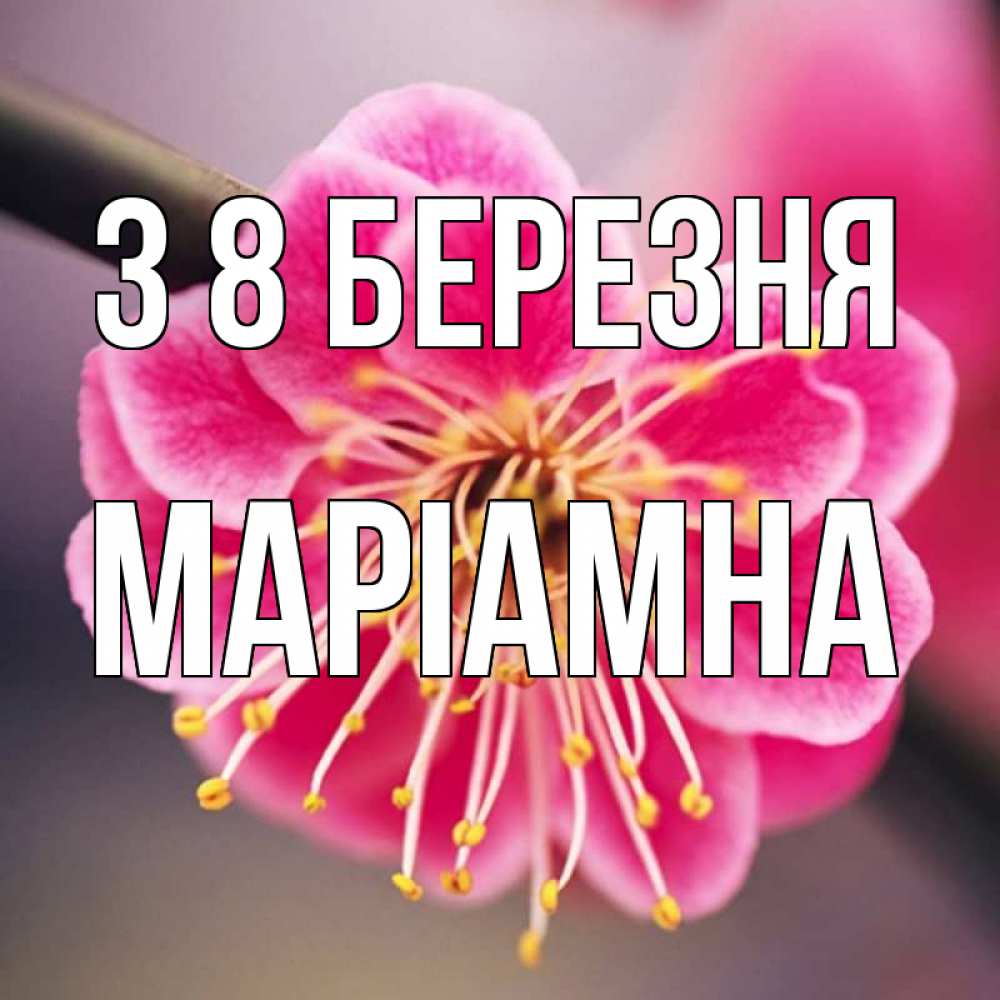 Открытка на каждый день з підписом, Маріамна З 8 БЕРЕЗНЯ цветы Прикольна листівка з побажанням онлайн скачати безкоштовно 