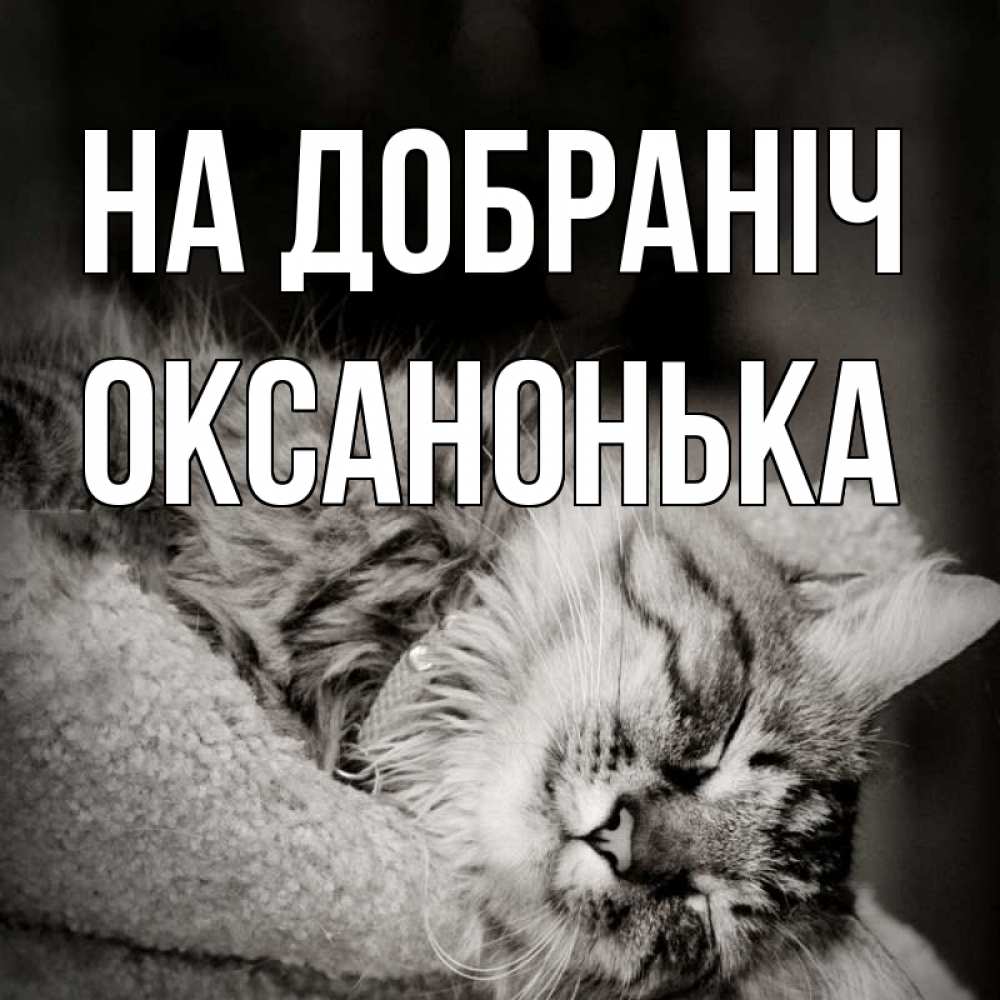 Открытка на каждый день з підписом, Оксанонька На добраніч котярик пушистый Прикольна листівка з побажанням онлайн скачати безкоштовно 