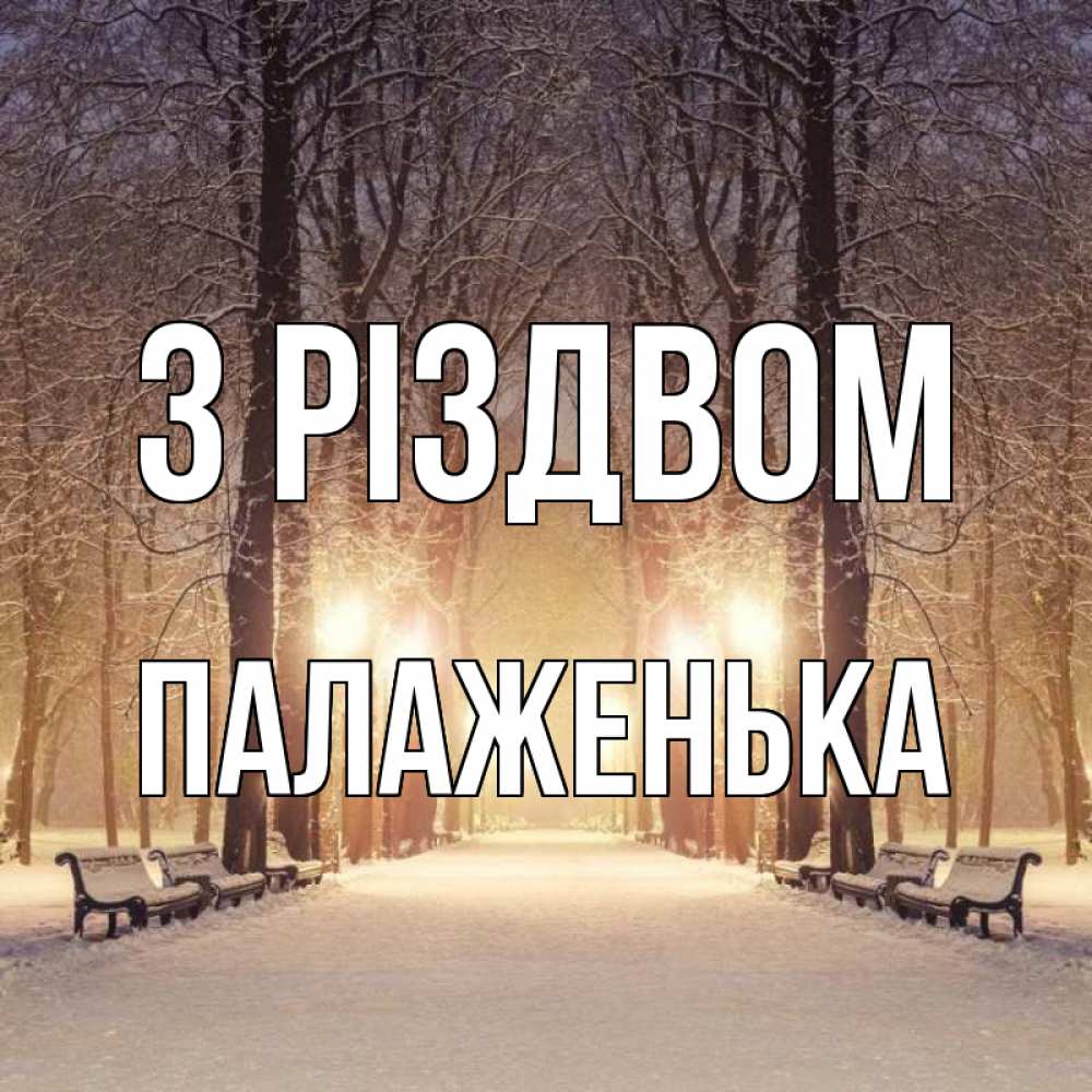 Открытка на каждый день з підписом, Палаженька З Різдвом зима, парк, фонарь, лес Прикольна листівка з побажанням онлайн скачати безкоштовно 