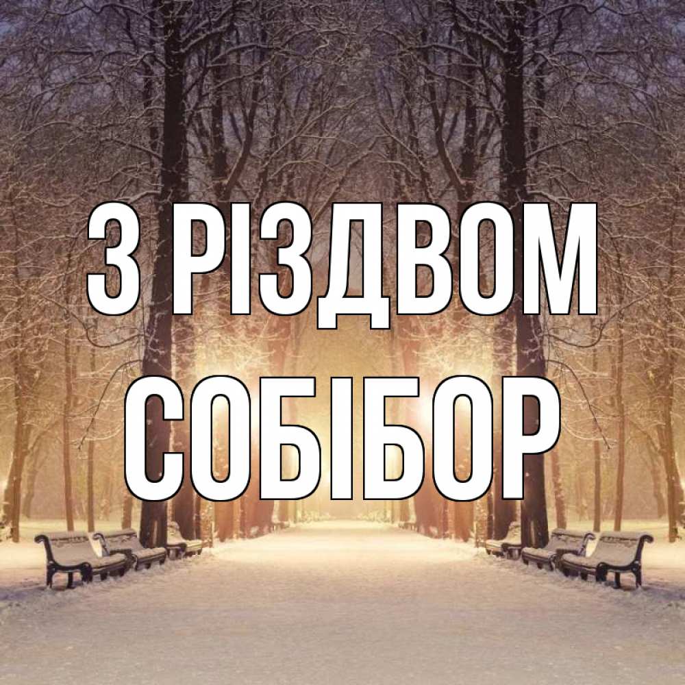 Открытка на каждый день з підписом, Собібор З Різдвом зима, парк, фонарь, лес Прикольна листівка з побажанням онлайн скачати безкоштовно 