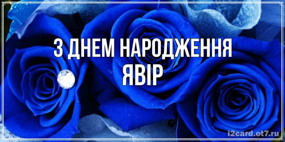 Открытка на каждый день з підписом, Явір З Днем народження синие розы в росе Прикольна листівка з побажанням онлайн скачати безкоштовно 