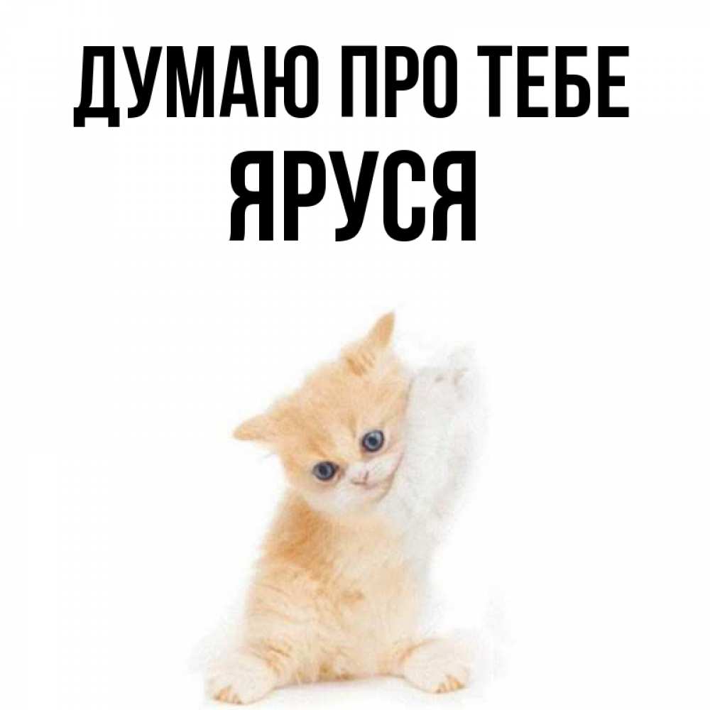 Открытка на каждый день з підписом, Яруся Думаю про тебе зверушки и милота Прикольна листівка з побажанням онлайн скачати безкоштовно 
