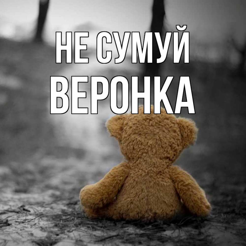 Открытка на каждый день з підписом, Веронка Не сумуй медведь со спин Прикольна листівка з побажанням онлайн скачати безкоштовно 