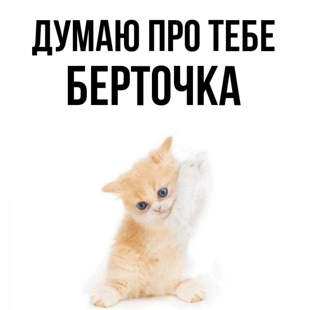 Открытка на каждый день з підписом, Берточка Думаю про тебе зверушки и милота Прикольна листівка з побажанням онлайн скачати безкоштовно 