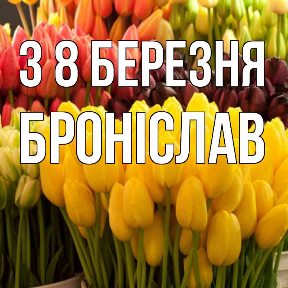 Открытка на каждый день з підписом, Броніслав З 8 БЕРЕЗНЯ цветы Прикольна листівка з побажанням онлайн скачати безкоштовно 