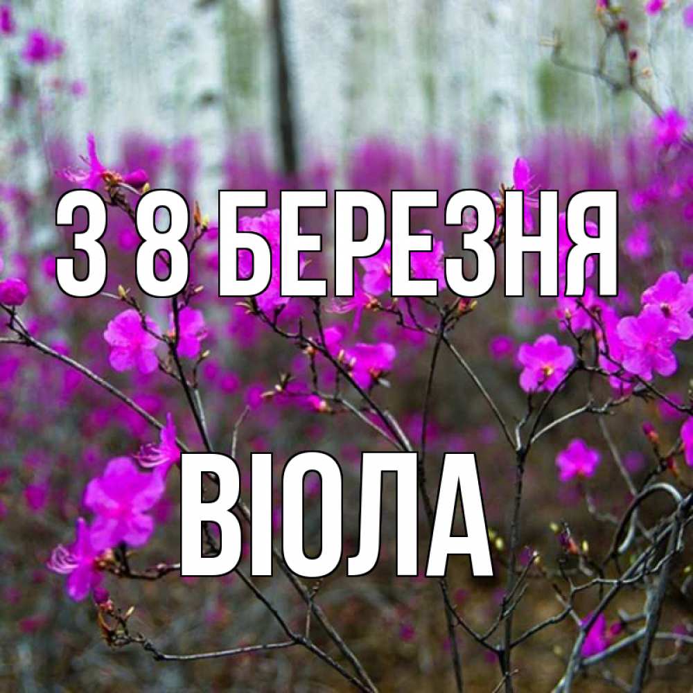 Открытка на каждый день з підписом, Віола З 8 БЕРЕЗНЯ дикие цветы Прикольна листівка з побажанням онлайн скачати безкоштовно 