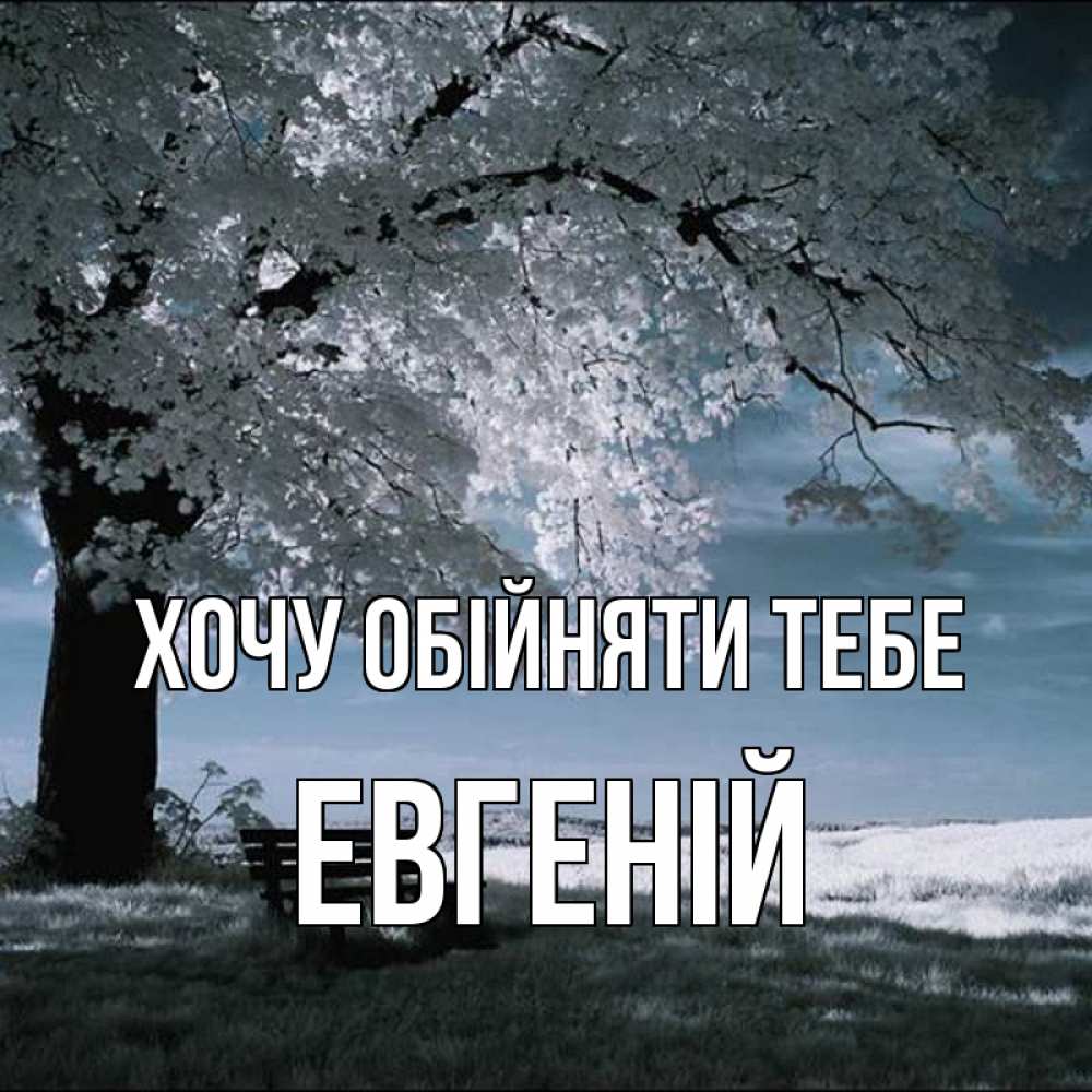Открытка на каждый день з підписом, Евгеній Хочу обійняти тебе дерево Прикольна листівка з побажанням онлайн скачати безкоштовно 