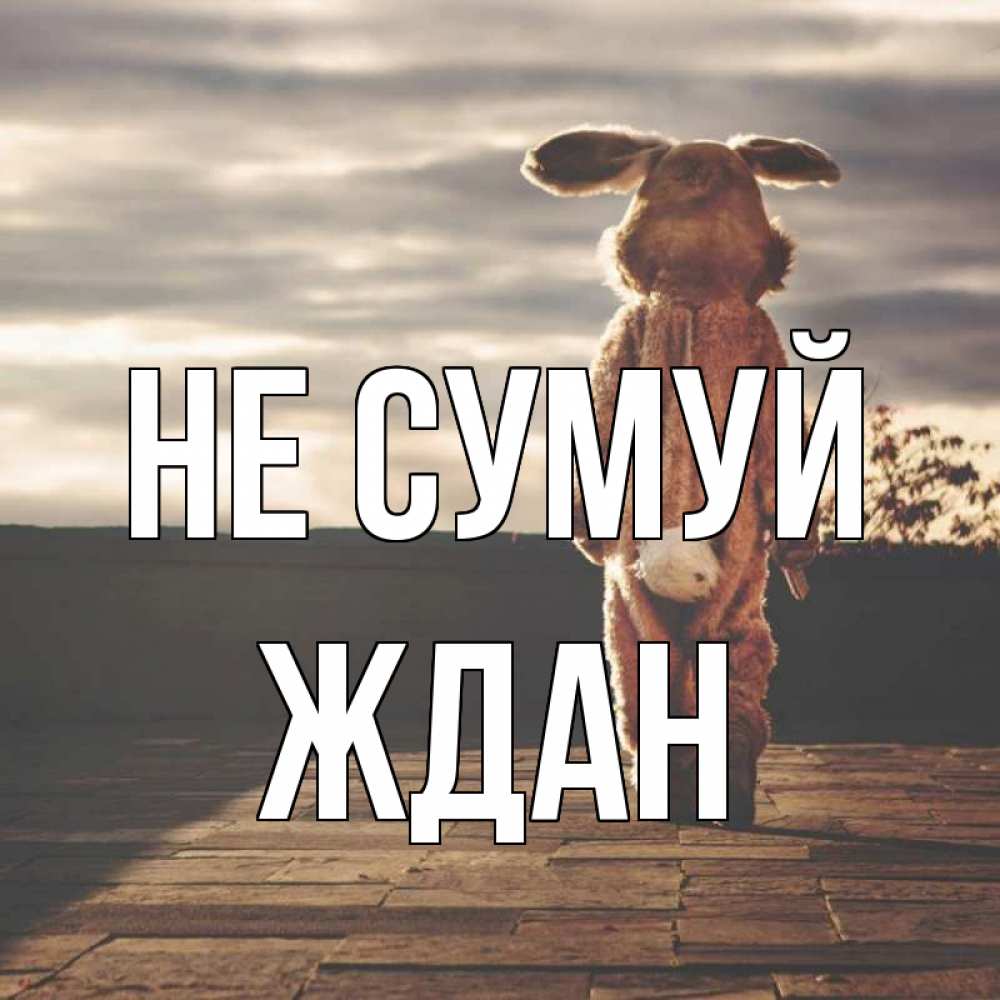 Открытка на каждый день з підписом, Ждан Не сумуй со спины Прикольна листівка з побажанням онлайн скачати безкоштовно 