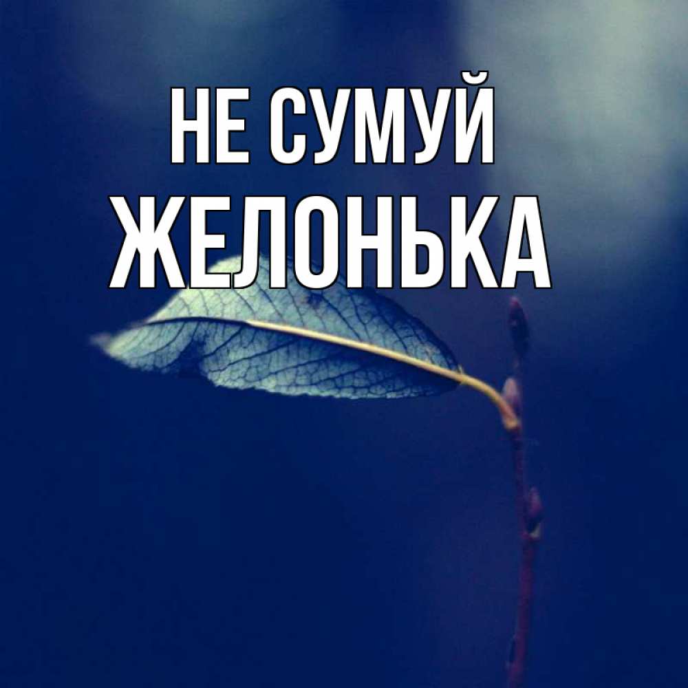Открытка на каждый день з підписом, Желонька Не сумуй растение Прикольна листівка з побажанням онлайн скачати безкоштовно 