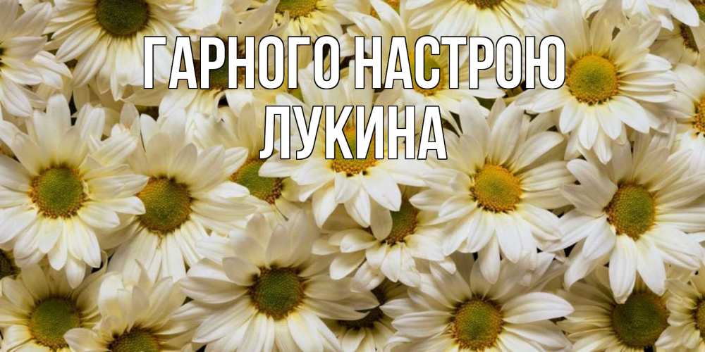 Открытка на каждый день з підписом, Лукина Гарного настрою крупные ромашки Прикольна листівка з побажанням онлайн скачати безкоштовно 