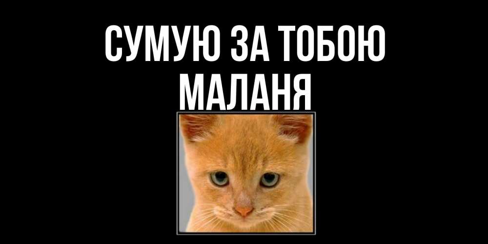 Открытка на каждый день з підписом, Маланя Сумую за тобою открытки рыжий котенок скучает по тебе Прикольна листівка з побажанням онлайн скачати безкоштовно 