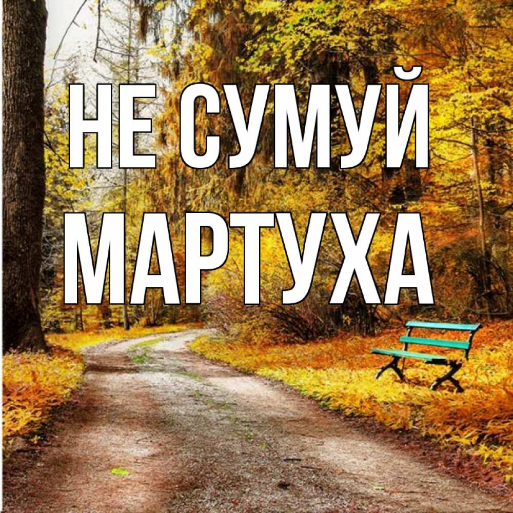 Открытка на каждый день з підписом, Мартуха Не сумуй зеленая лавочка Прикольна листівка з побажанням онлайн скачати безкоштовно 