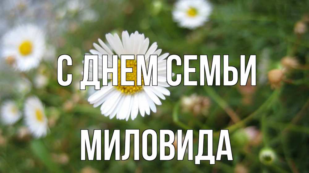 Открытка на каждый день з підписом, Миловида С днем семьи с днем семьи Прикольна листівка з побажанням онлайн скачати безкоштовно 