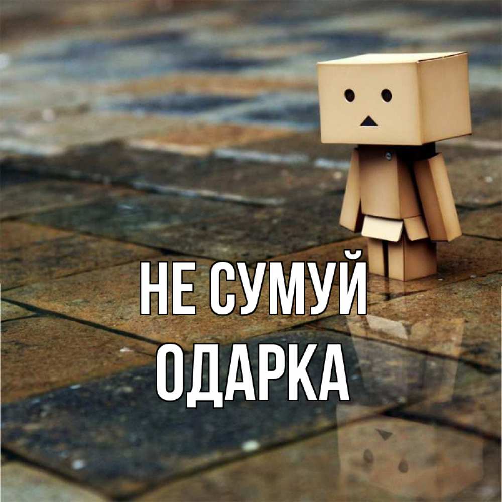 Открытка на каждый день з підписом, Одарка Не сумуй Стив Прикольна листівка з побажанням онлайн скачати безкоштовно 