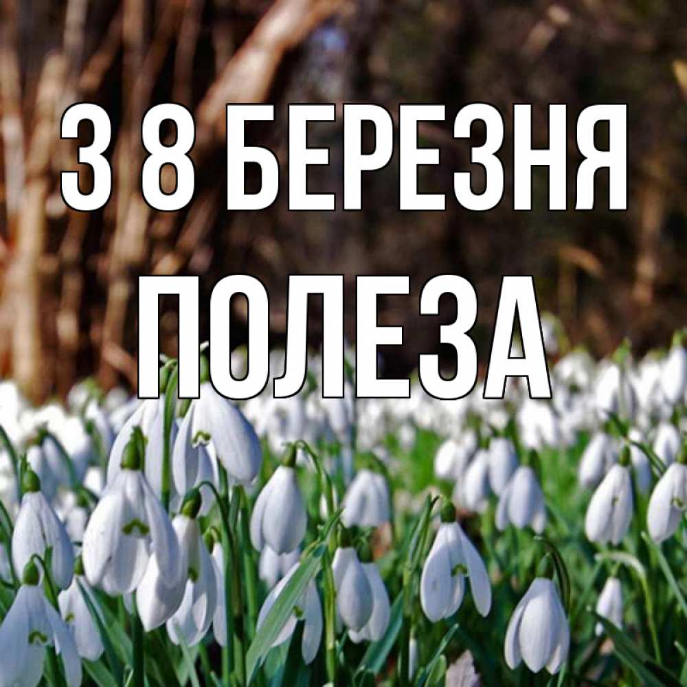 Открытка на каждый день з підписом, Полеза З 8 БЕРЕЗНЯ с подснежниками 1 Прикольна листівка з побажанням онлайн скачати безкоштовно 