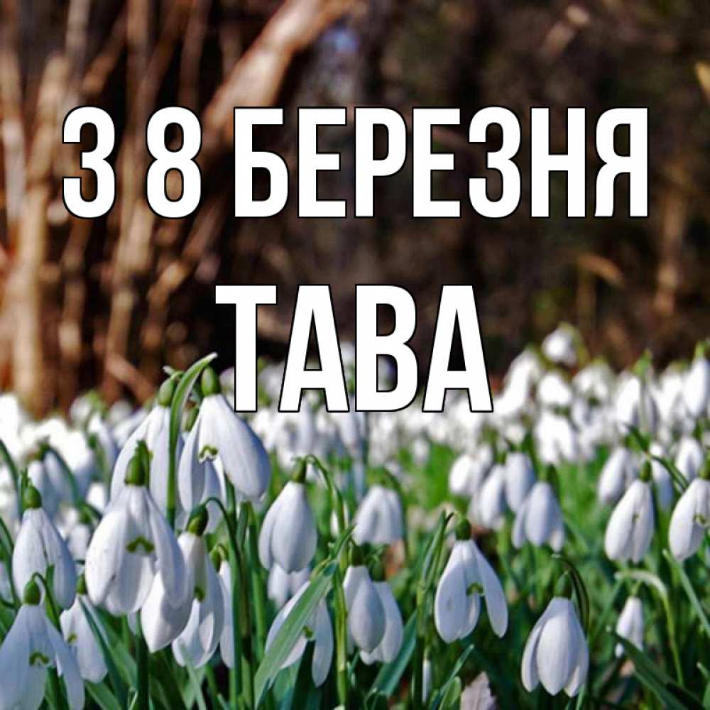Открытка на каждый день з підписом, Тава З 8 БЕРЕЗНЯ с подснежниками 1 Прикольна листівка з побажанням онлайн скачати безкоштовно 