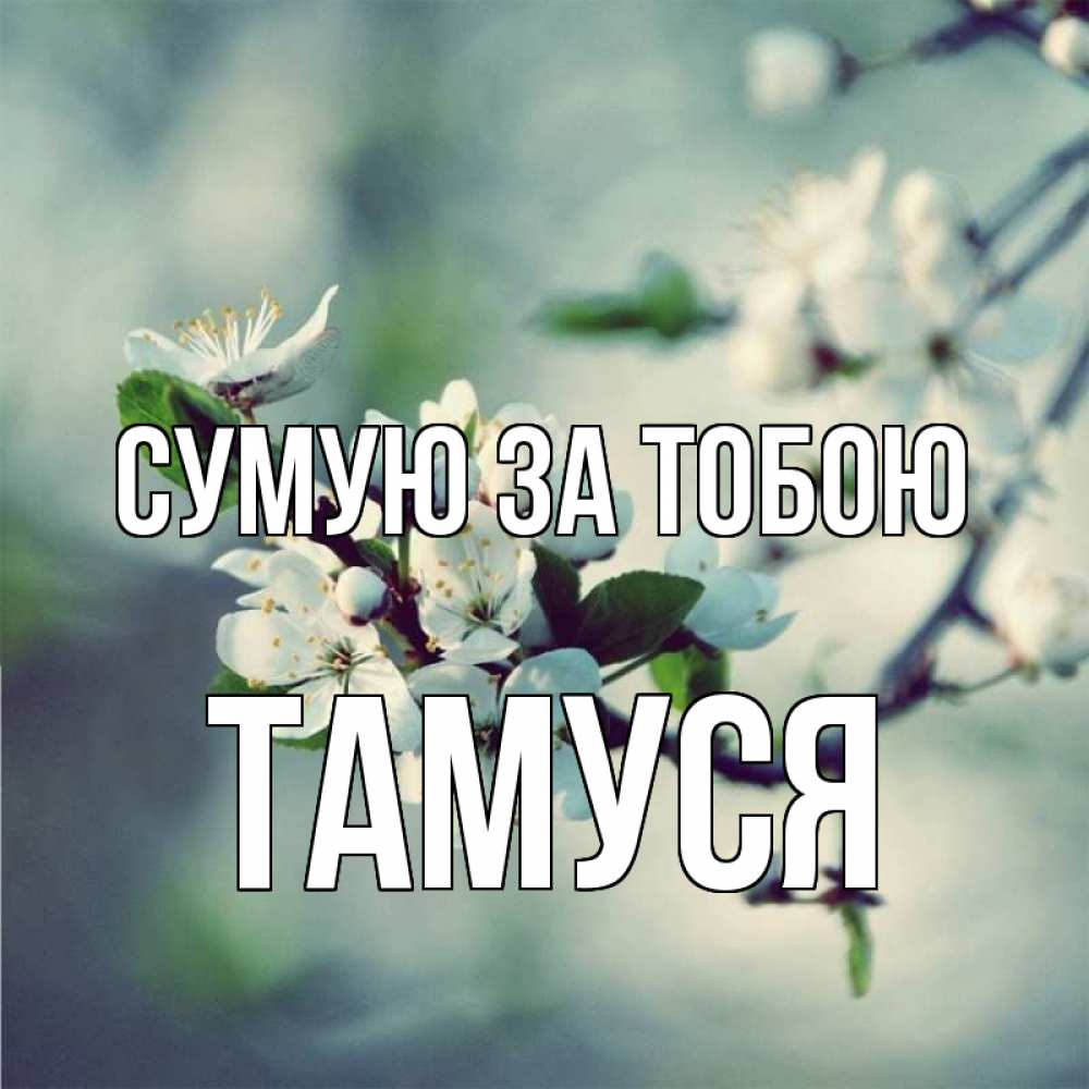 Открытка на каждый день з підписом, Тамуся Сумую за тобою весна Прикольна листівка з побажанням онлайн скачати безкоштовно 