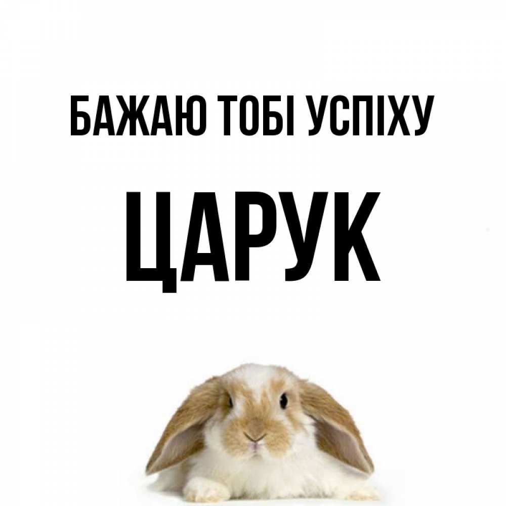 Открытка на каждый день з підписом, Царук Бажаю тобі успіху открытки с произвольным текстом который можно вставить в открытку и создать ее самостоятельно бесплатно онлайн Прикольна листівка з побажанням онлайн скачати безкоштовно 