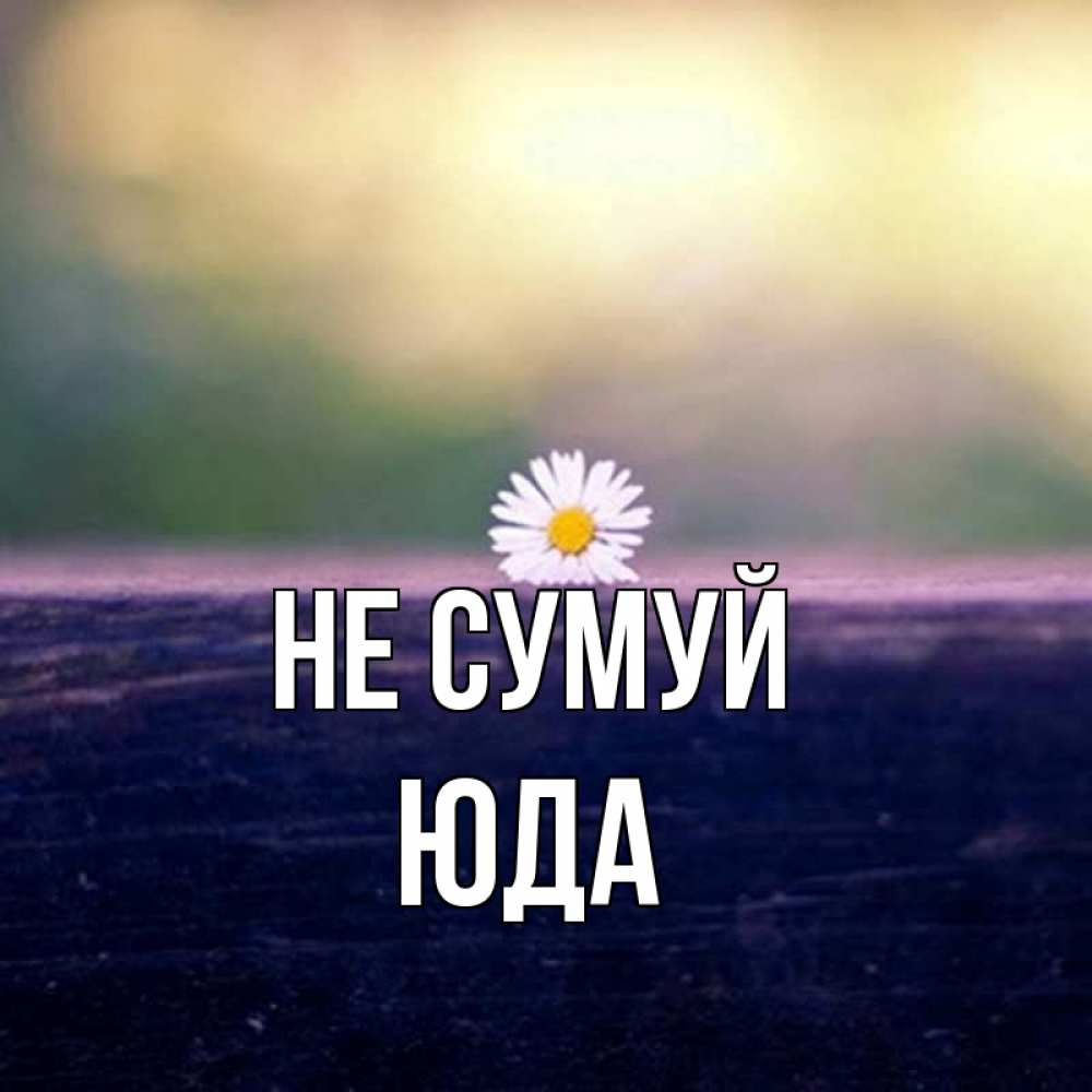 Открытка на каждый день з підписом, Юда Не сумуй красота Прикольна листівка з побажанням онлайн скачати безкоштовно 