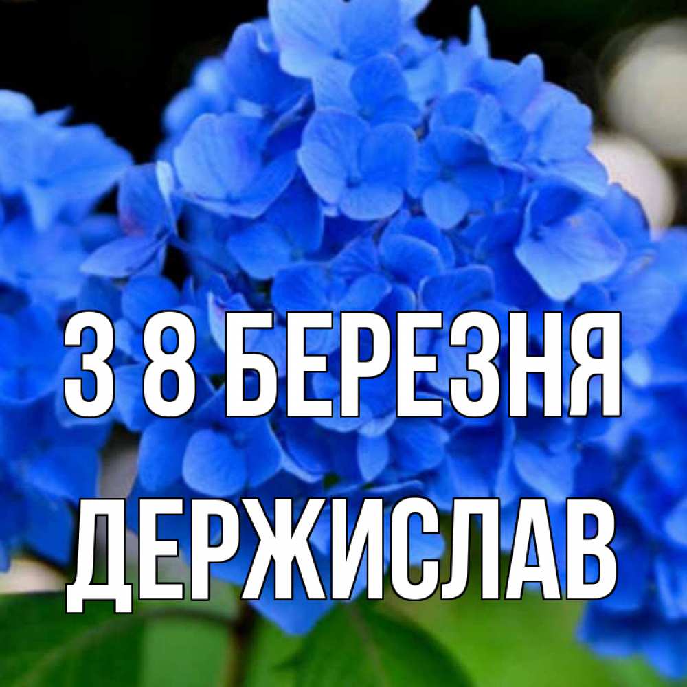 Открытка на каждый день з підписом, Держислав З 8 БЕРЕЗНЯ синие цветы Прикольна листівка з побажанням онлайн скачати безкоштовно 