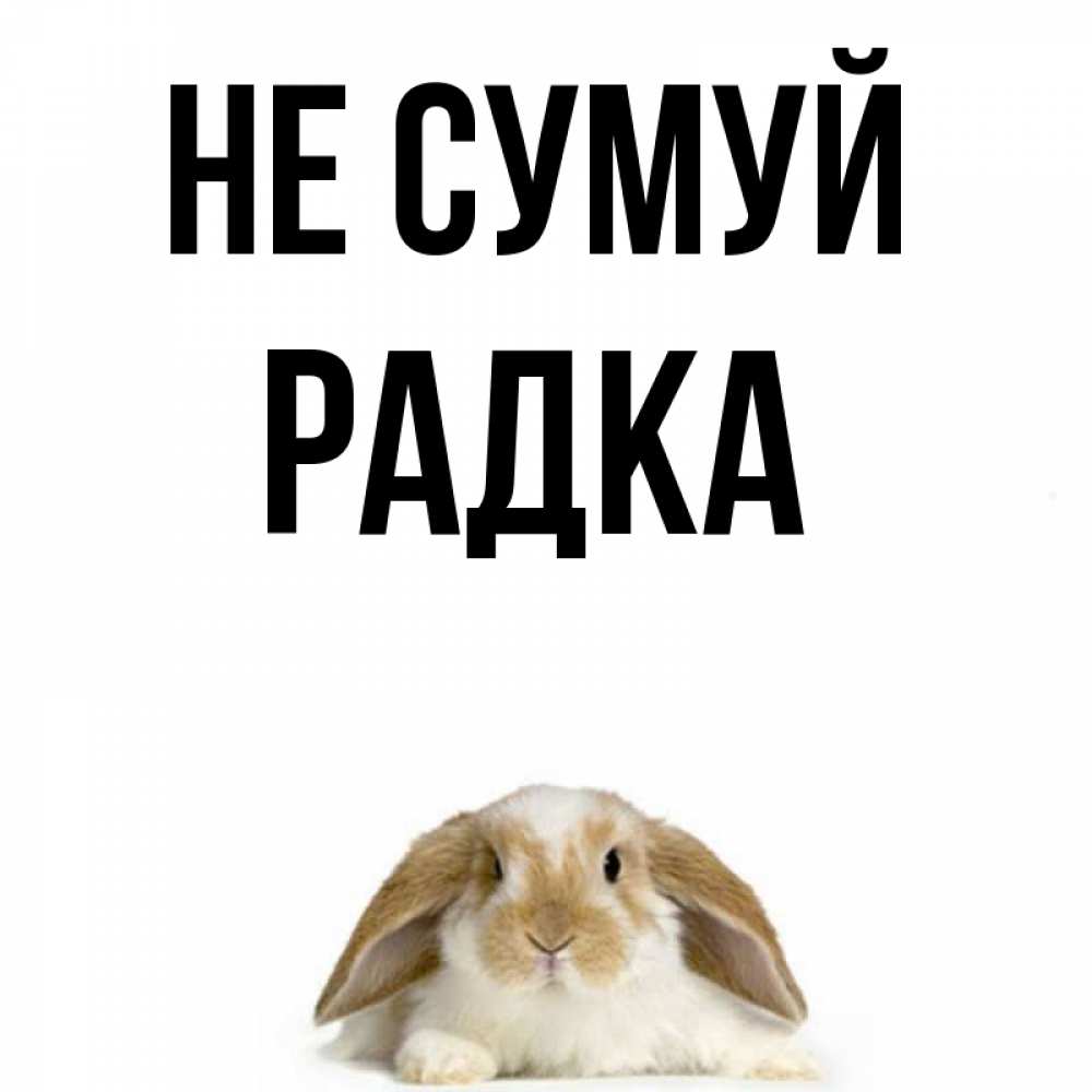 Открытка на каждый день з підписом, Радка Не сумуй коричнево белый заяц с большими ушками Прикольна листівка з побажанням онлайн скачати безкоштовно 