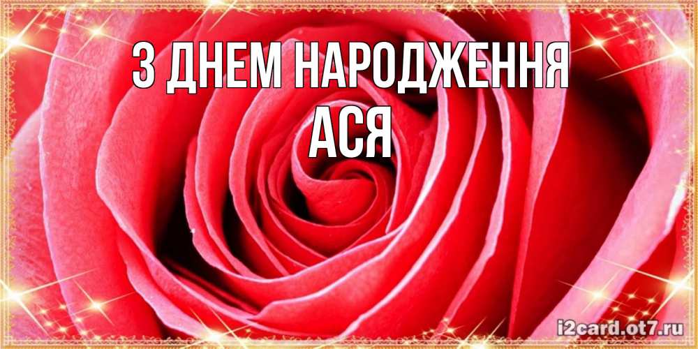 Открытка на каждый день з підписом, Ася З Днем народження розовая роза очень крупный бутон Прикольна листівка з побажанням онлайн скачати безкоштовно 