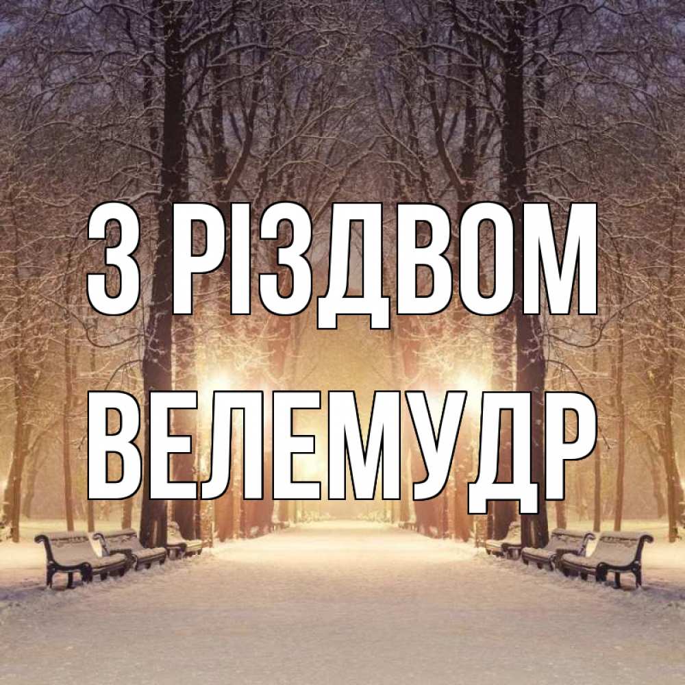 Открытка на каждый день з підписом, Велемудр З Різдвом зима, парк, фонарь, лес Прикольна листівка з побажанням онлайн скачати безкоштовно 